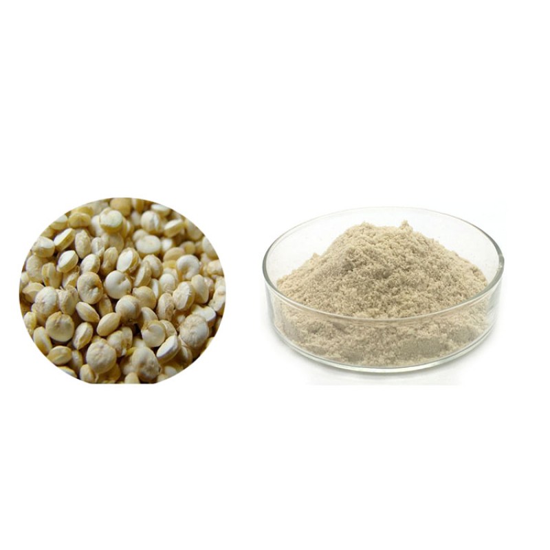Factory Supply Quinoa Protein Powder  Quinoa Powder