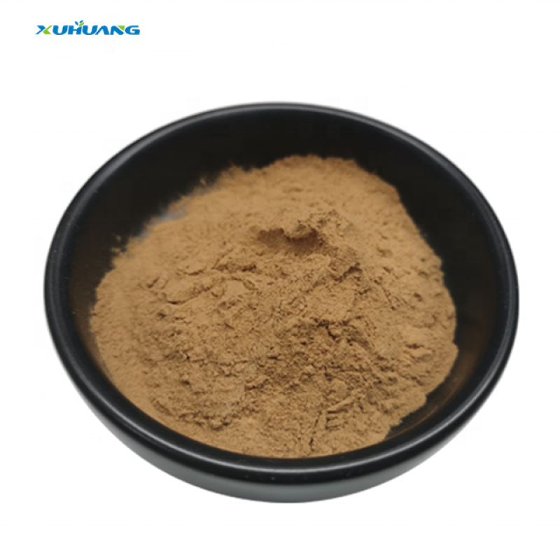 Manufacturer Supply Good Price White Willow Bark Extract Brown Yellow Powder White Willow Bark Extract Powder