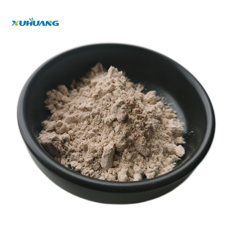 Best Price Hericium Erinaceus Extract