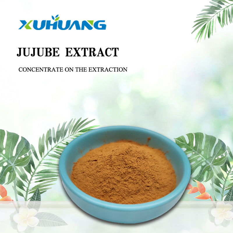 Food Grade High Quality Red Jujube Extract Powder Natural Fruit Part Used Solvent Extracted Packaged in Drum Plastic Container