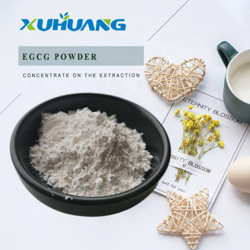 Favorable Price EGCG Powder 98% Green Tea Extract EGCG