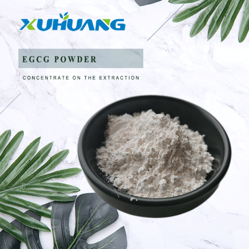 Favorable Price EGCG Powder 98% Green Tea Extract EGCG