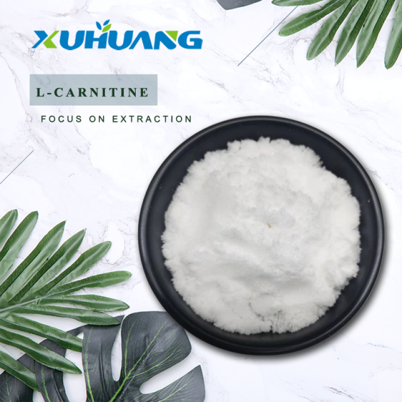 Factory Wholesale Pure L-Carnitine 99% L-Carnitine Powder