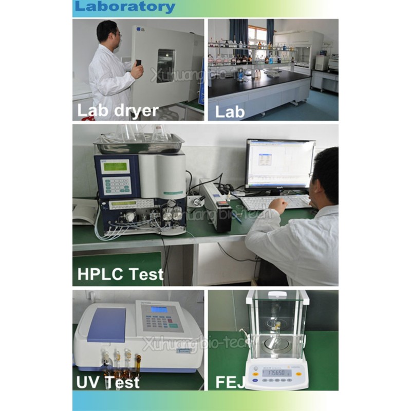 Food Grade High Quality Red Jujube Extract Powder Natural Fruit Part Used Solvent Extracted Packaged in Drum Plastic Container