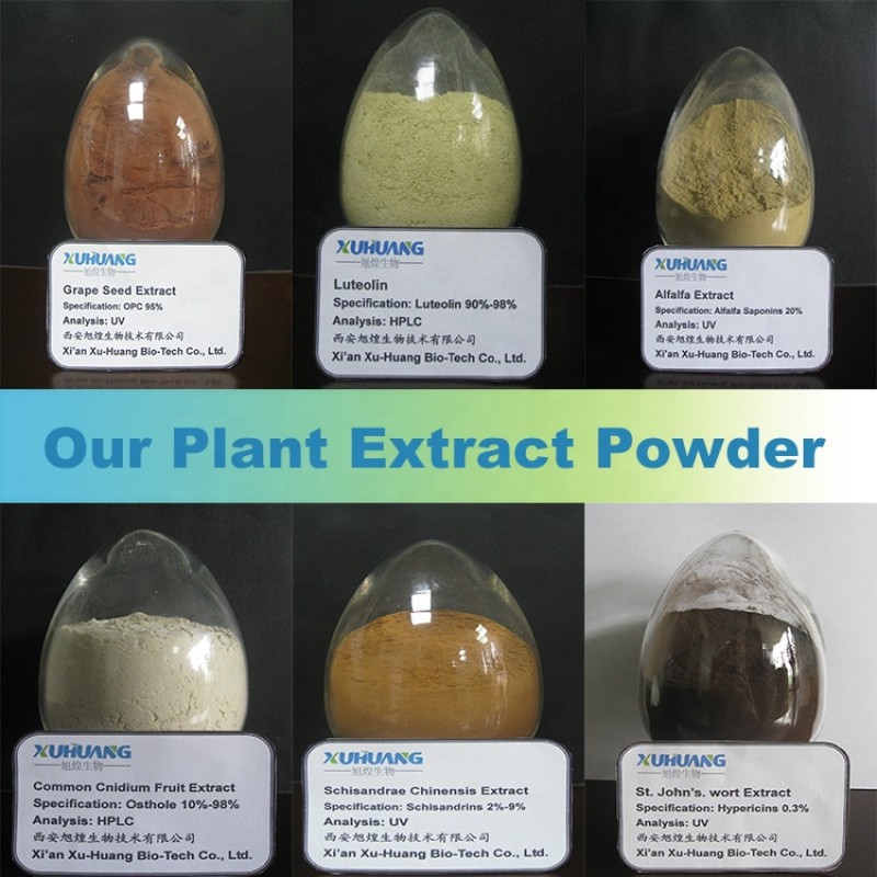 Best Selling 1% S-allyl-l-cysteine (sac) Black Garlic Extract Powder