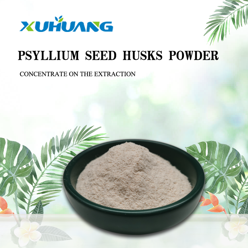 Best Price Hericium Erinaceus Extract