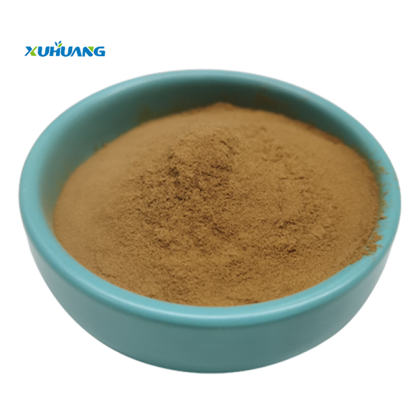 Natural Dried Ginkgo Biloba Leaves Extract Powder  10:1  Sleep Supplement Herb Ginkgo Biloba Extract with Best Price