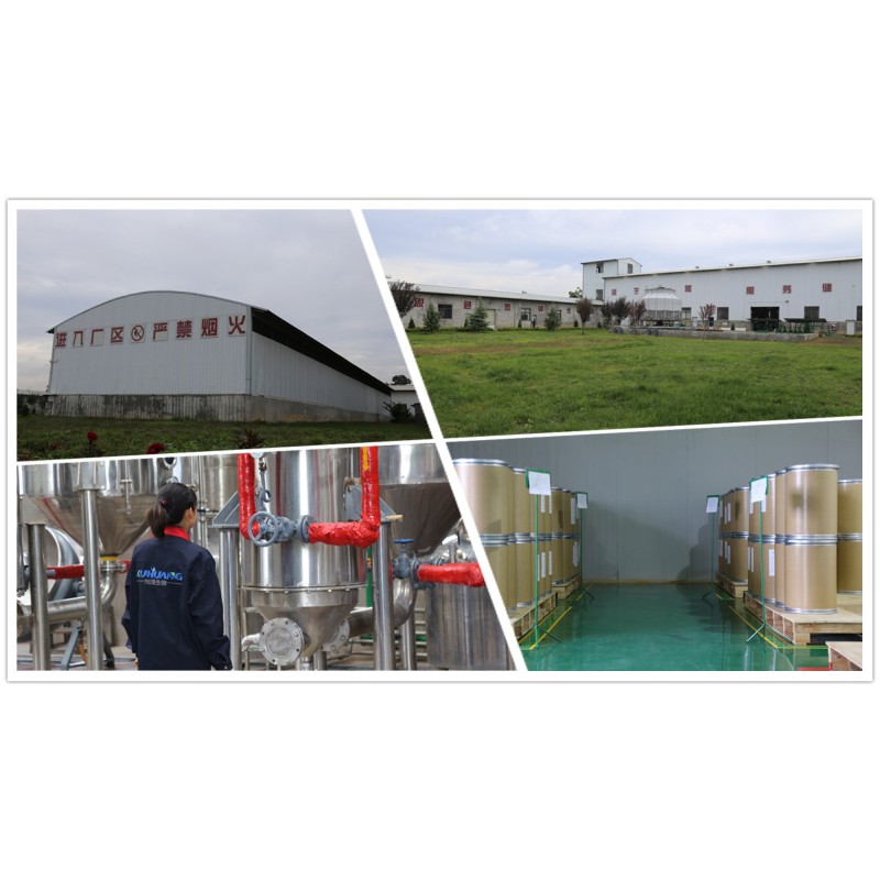 Wholesale bulk high quality Psyllium husk 98%/Psyllium seed husk