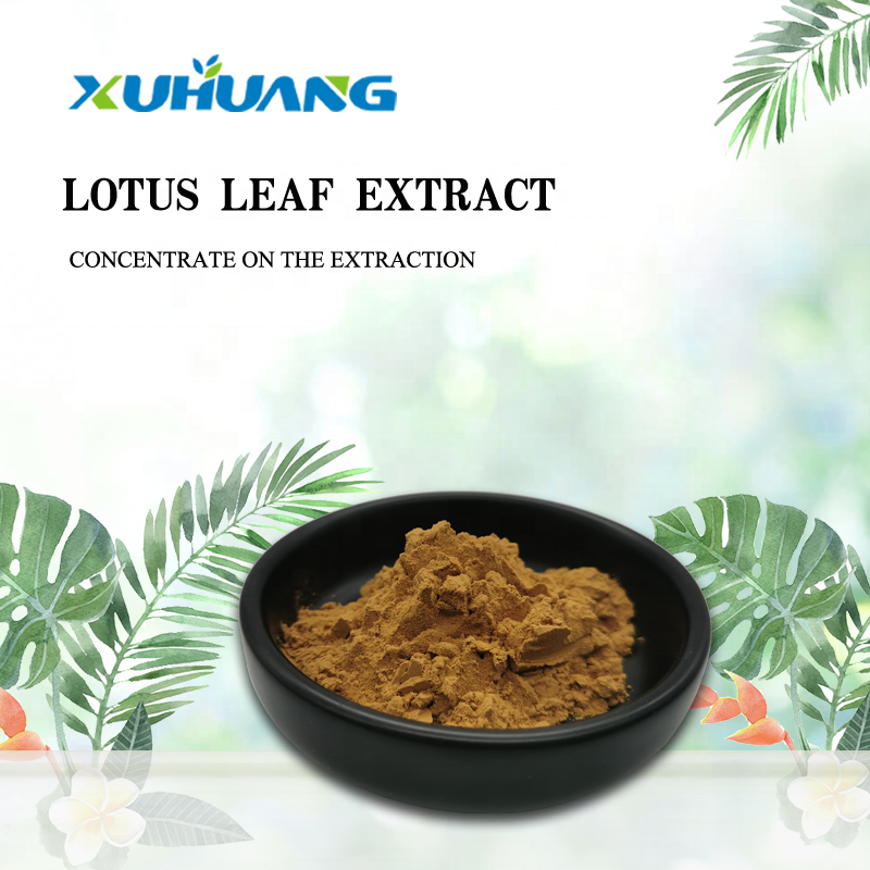 High Quality Nuciferine Lotus Leaf Extract Lotus Leaf Extract