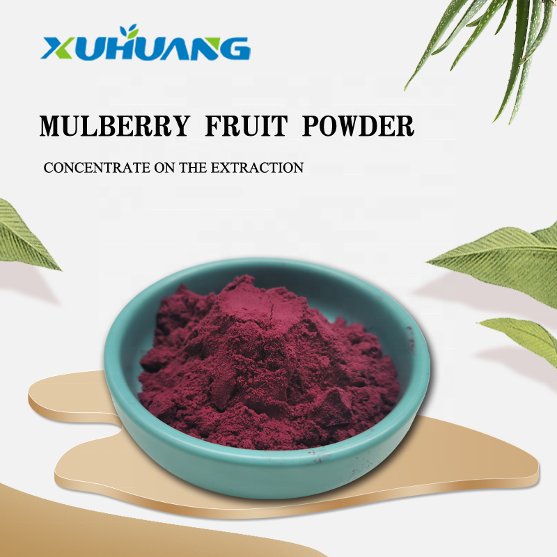 Best Selling Fresh Mulberry Fruit Juice Powder