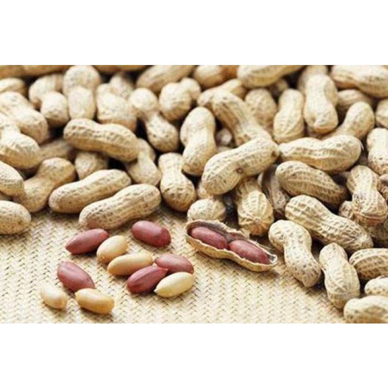 Top Quality 100% Organic Peanut Protein Powder