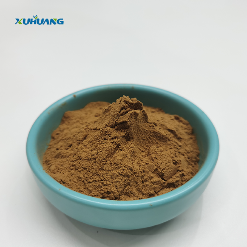 Natural Dried Ginkgo Biloba Leaves Extract Powder  10:1  Sleep Supplement Herb Ginkgo Biloba Extract with Best Price