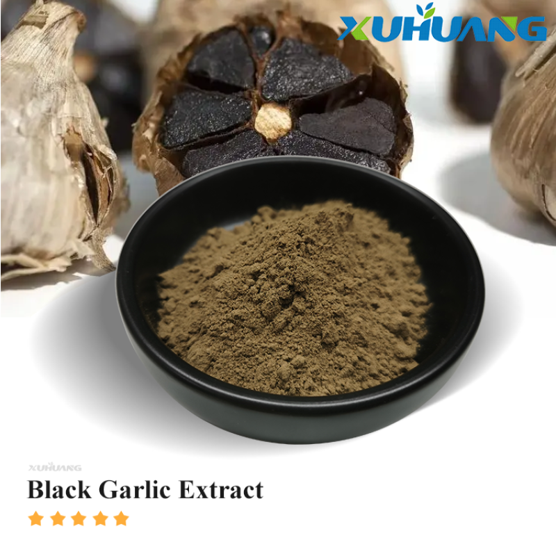 Best Selling 1% S-allyl-l-cysteine (sac) Black Garlic Extract Powder