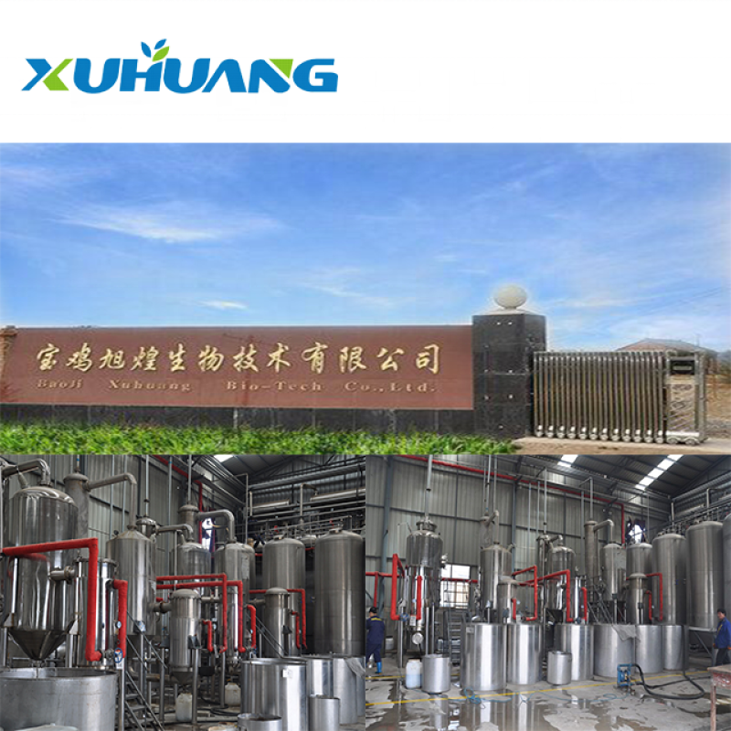 High Quality Spine Date Seed Extract