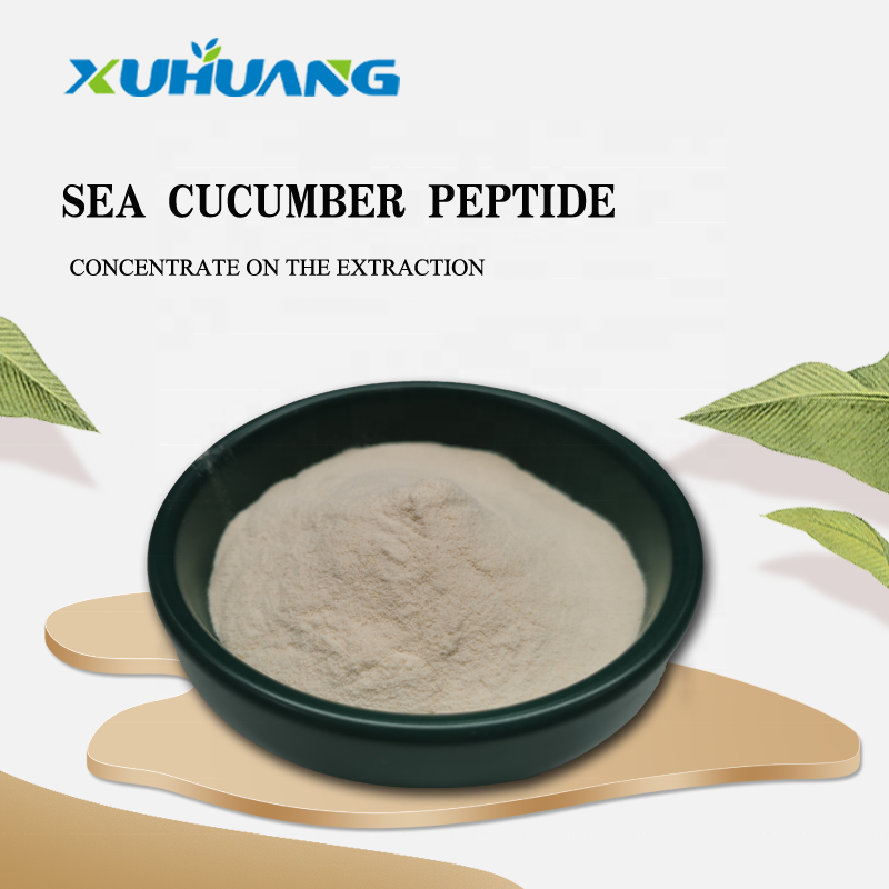 Best Price of Dried Sea Cucumber Protein Powder/ Sea Cucumber Peptide /sea Cucumber Polypeptide