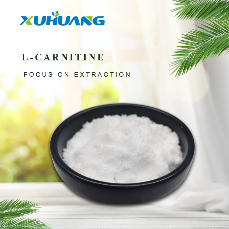 Factory Wholesale Pure L-Carnitine 99% L-Carnitine Powder