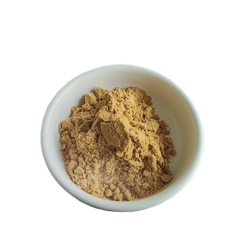 High Protein 50% Alfafa Extract Powder Alfafa Leaf Powder Alfalfa Grass Powder with Free Samples for Se;ll