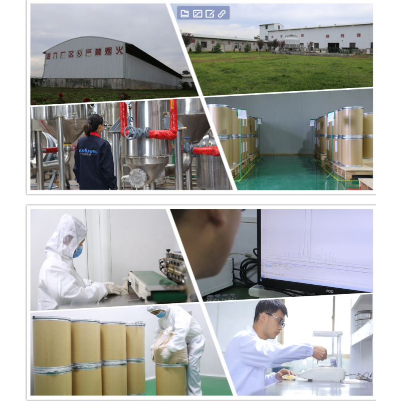 High Quality Cas 303-98-0 Coenzyme Q 10