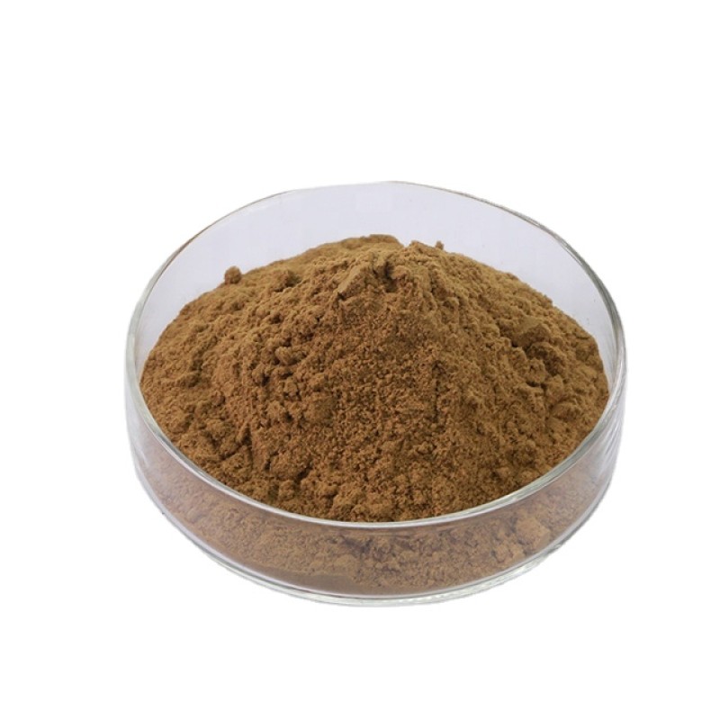 Natural Dried Ginkgo Biloba Leaves Extract Powder  10:1  Sleep Supplement Herb Ginkgo Biloba Extract with Best Price