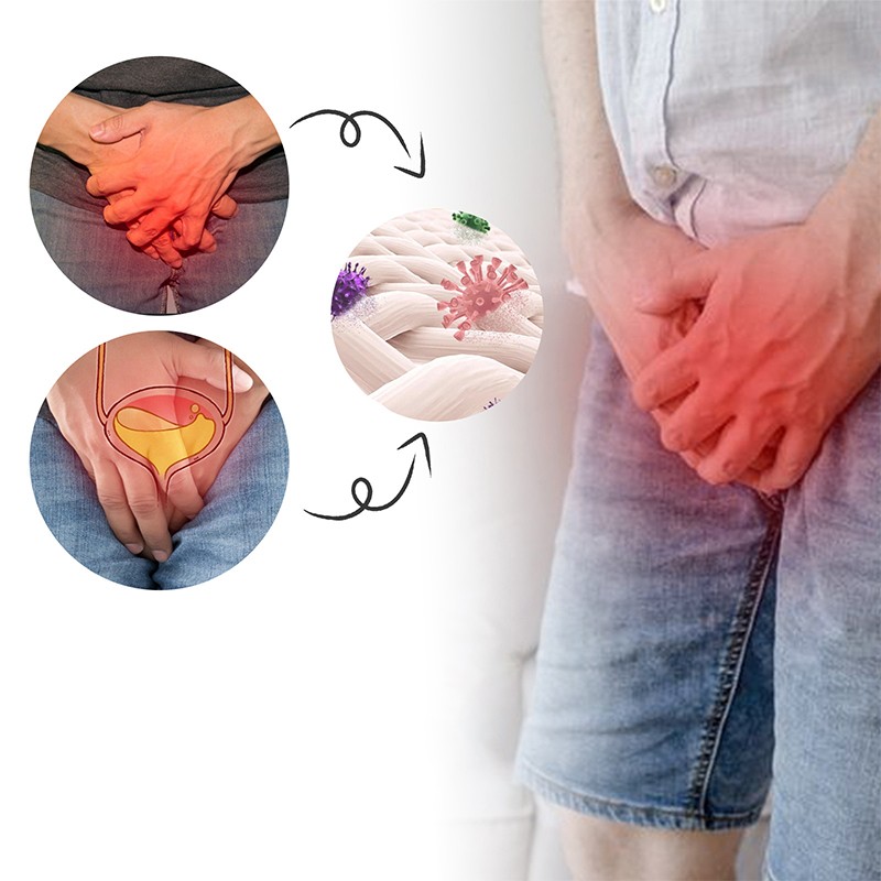 Enhancement Cream Supplier - OEM Factory Ifory Man Urinary Strengthen 20g