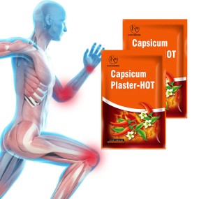Back Pain Plaster Manufacturer - OEM Factory Pain Hot Capsicum Quick Effect