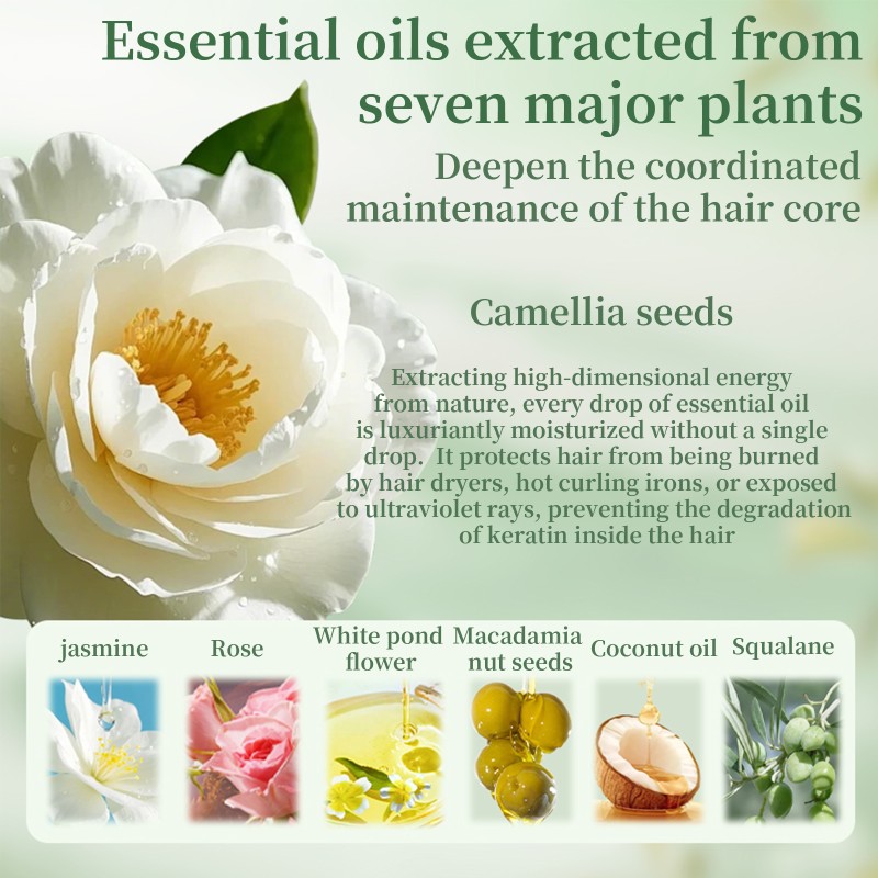 Camellia Extract Hair Oil Manufacturer - OEM Custom Hair Oil for Frizz Control and Shine