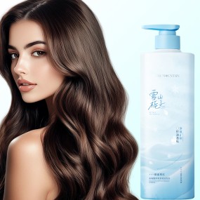 Shampoo with Salicylic Acid Factory - OEM Anti-Dandruff Volumizing Shampoo for Oily Scalp