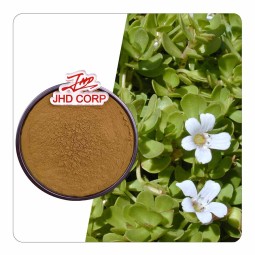 Bacopa Extract Supplier - OEM 20% 50% Bacosides Bacopa Monnieri Powder