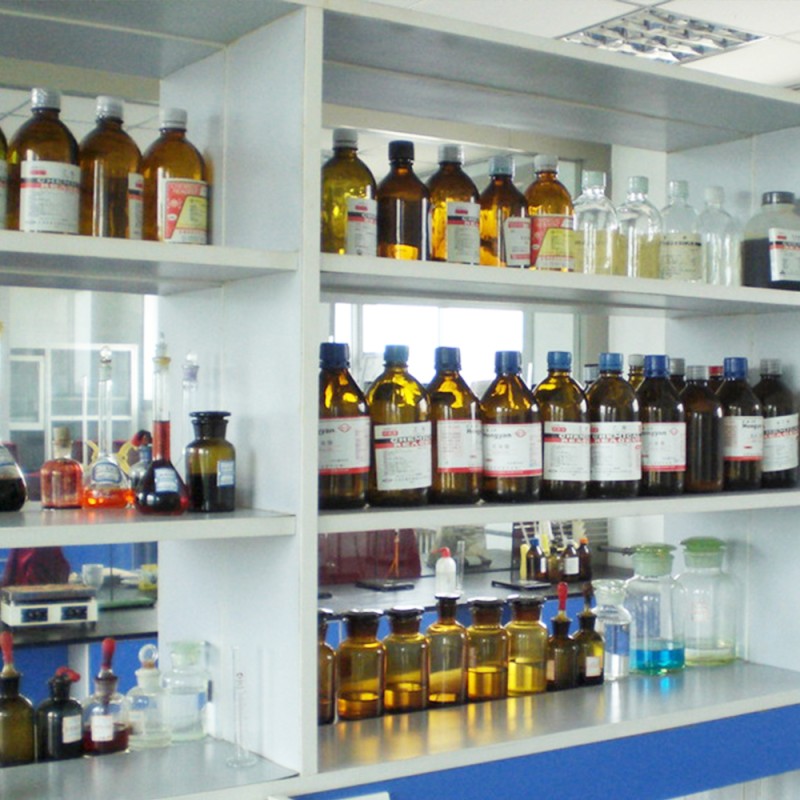 L-Theanine Powder Manufacturer - ODM Best Price Suntheanine Powder