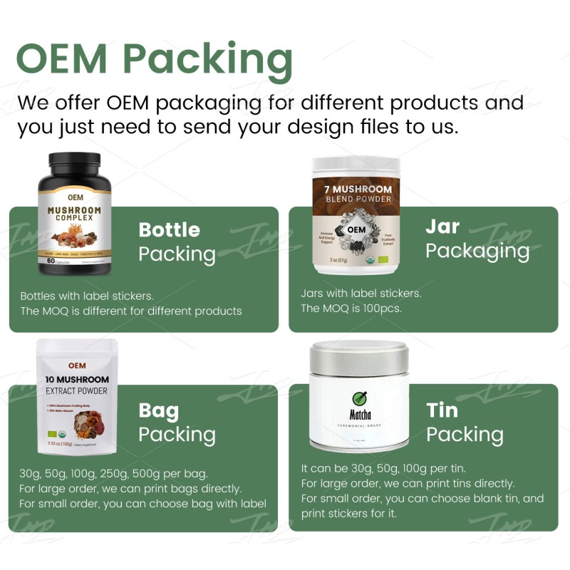 Probiotics Capsules Supplier - OEM 50 Billion CFU Digestive Health Capsules