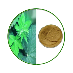 Devils Claw Extract Supplier - OEM Natural Harpagosides Root Extract Powder