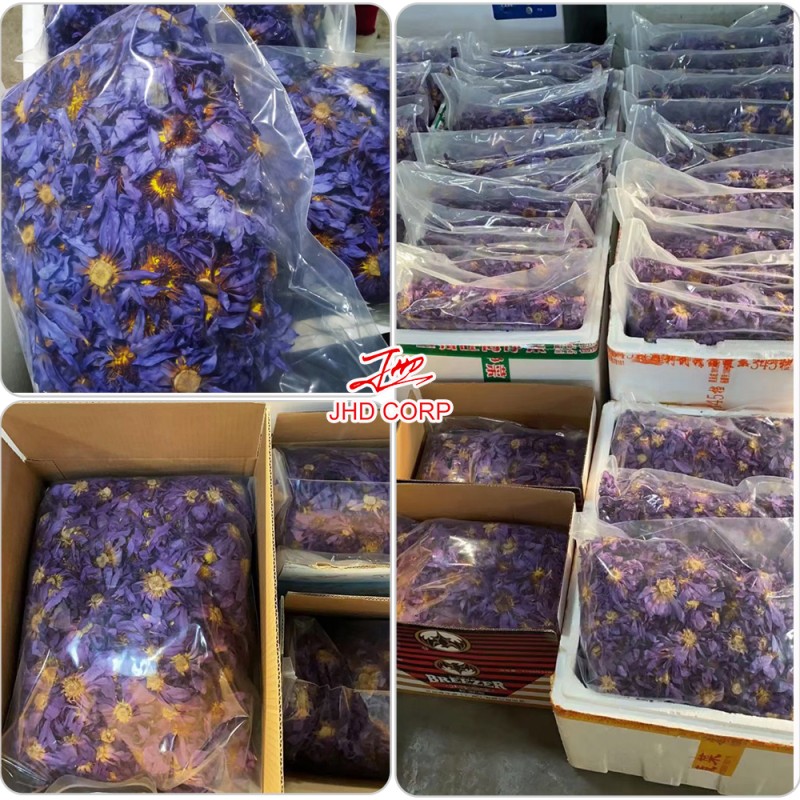 Blue Lotus Tea Supplier - OEM Dried Blue Lotus Blooming Tea Flowers