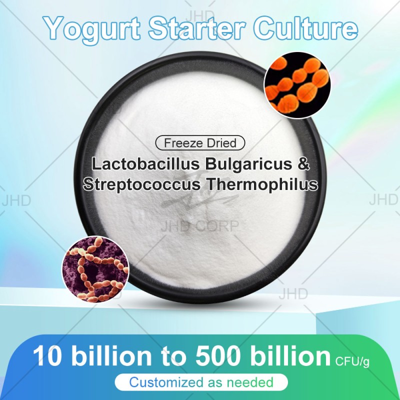 Probiotics Powder Factory - ODM 100 Billion CFU/g Streptococcus Thermophilus