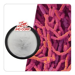 Probiotics Powder Factory - ODM 10 Billion CFU/g Lactobacillus Rhamnosus