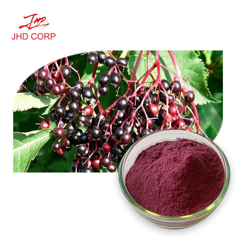 Elderberry Powder Factory - ODM Natural Black Elderberry Fruit Extract Powder