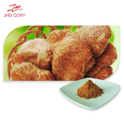 Lions Mane Extract Manufacturer - ODM Organic Dried Lions Mane Mushroom Powder