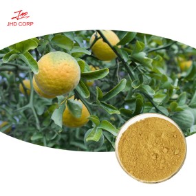 Citrus Aurantium Extract Supplier - OEM Natural Immunity Boost Citrus Powder