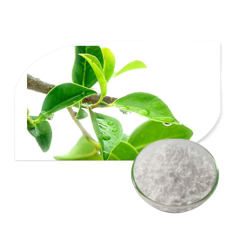 L-Theanine Powder Manufacturer - ODM Best Price Suntheanine Powder