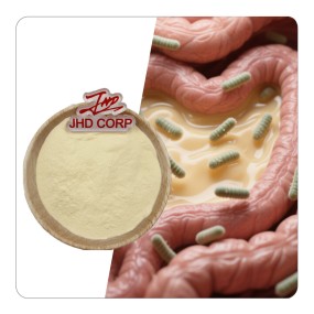 Probiotics Powder Manufacturer - ODM High Quality Lactobacillus Casei Powder