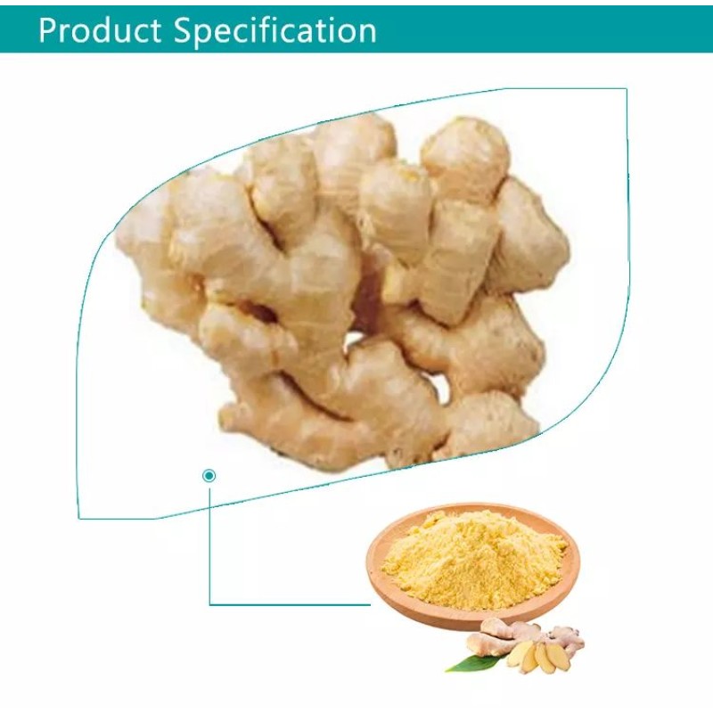 Ginger Extract Factory - ODM 1% Gingerol Water Soluble Ginger Powder