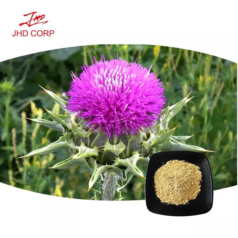 Milk Thistle Extract Manufacturer - ODM 80% Silymarin Milk Thistle Powder