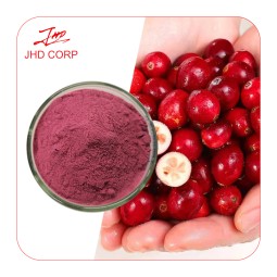 Cranberry Extract Manufacturer - ODM 25% Anthocyanin Cranberry Fruit Powder
