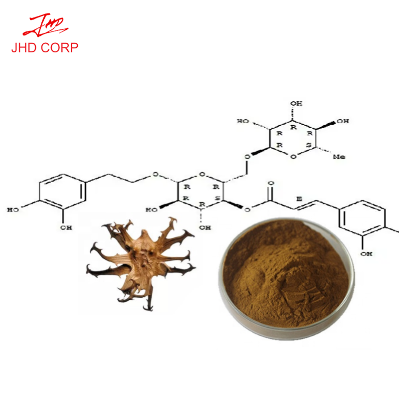 Devils Claw Powder Factory - ODM Harpagosides Devils Claw Root Extract