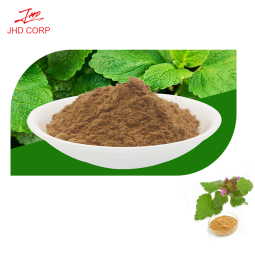 Lemon Balm Extract Manufacturer - ODM 20:1 Melissa Officinalis Leaf Powder
