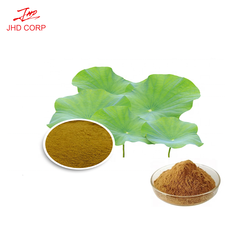 Lotus Leaf Extract Manufacturer - ODM 2% Nuciferin Halal Lotus Extract Powder