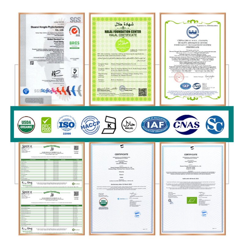 Green Tea Extract Manufacturer - ODM L-Theanine Tea Polyphenols Powder