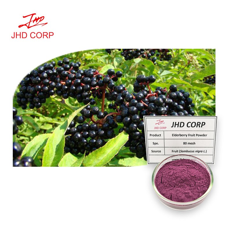 Elderberry Powder Factory - ODM Natural Black Elderberry Fruit Extract Powder