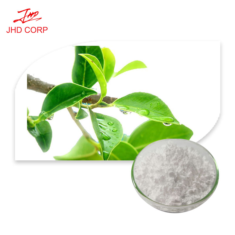 Green Tea Extract Manufacturer - ODM L-Theanine Tea Polyphenols Powder