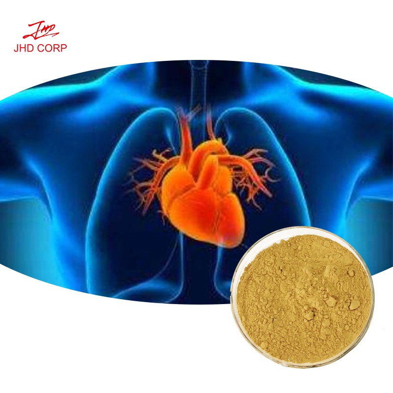 Citrus Aurantium Extract Supplier - OEM Natural Immunity Boost Citrus Powder