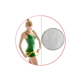 L-Carnitine Powder Factory - ODM Kosher Halal L-Carnitine L-Tartrate Powder
